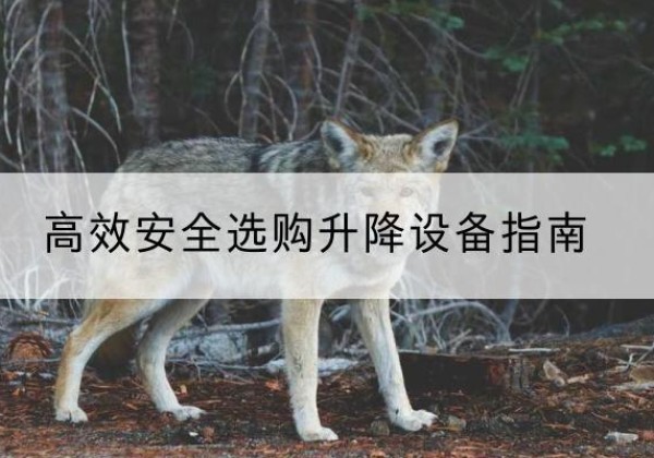常山升降货梯厂家推荐-*安全选购升降设备指南