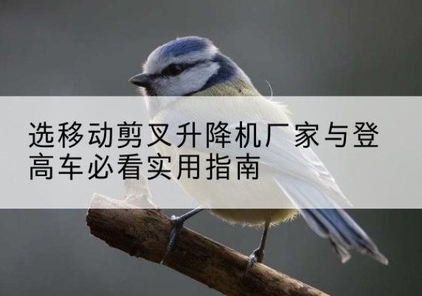 常山电动升降机厂家-选移动剪叉升降机厂家与登高车必看实用指南