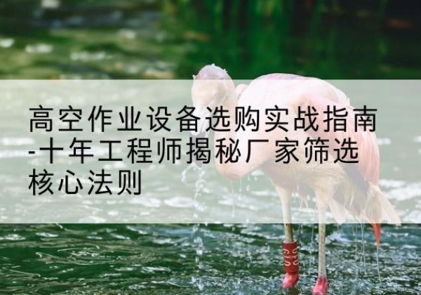 常山剪叉式升降机厂家-高空作业设备选购实战指南-十年工程师揭秘厂家筛选核心法则